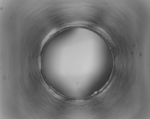 X0000073921180200609011801