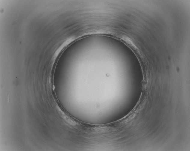 X0000073921181200609011801