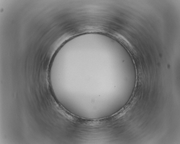 X0000073921182200609011801