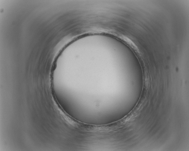 X0000073921183200609011801