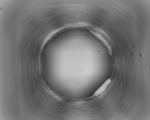 X0000073921184200609011801