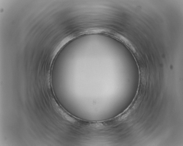 X0000073921186200609011801