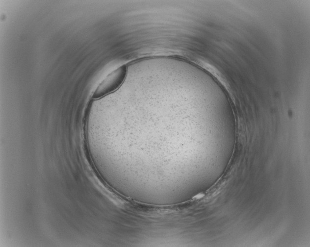 X0000073921187200609011801