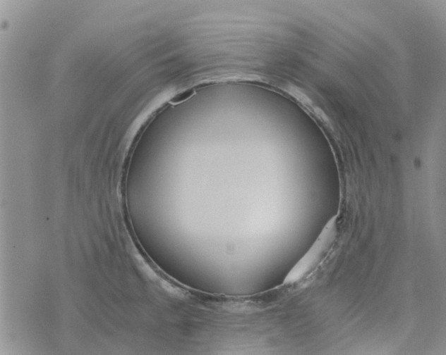 X0000073921189200609011801