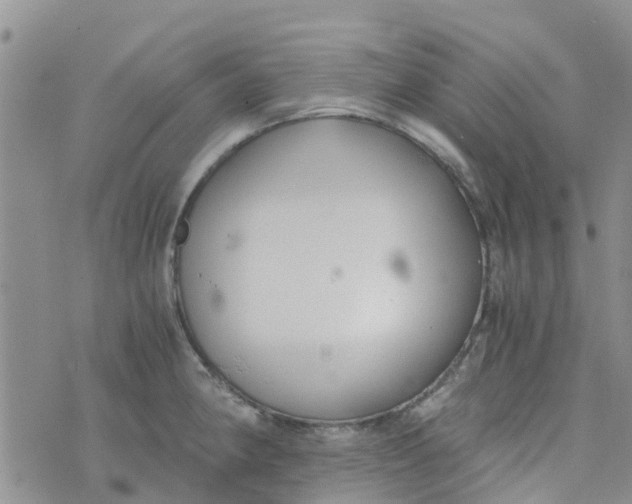 X0000073921190200609011801