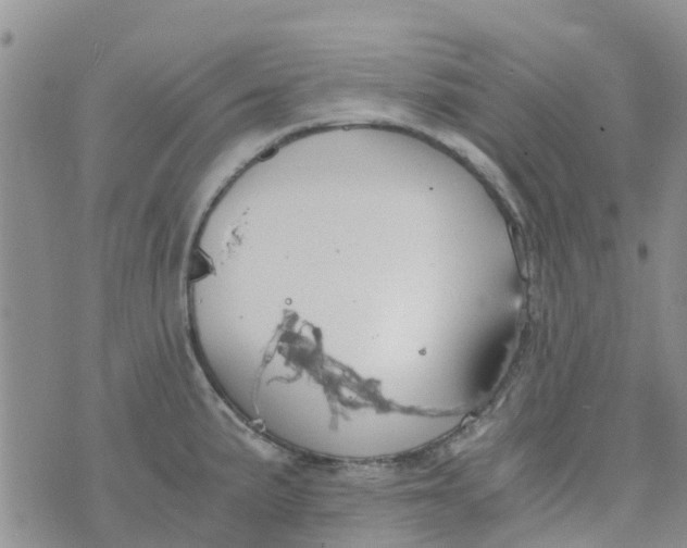 X0000073921191200609011801