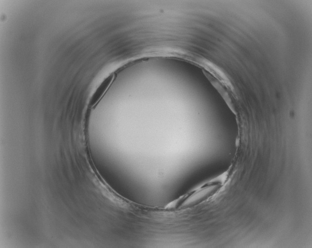 X0000073921192200609011801