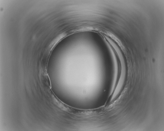 X0000073921193200609011801