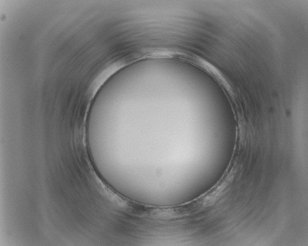 X0000073921194200609011801