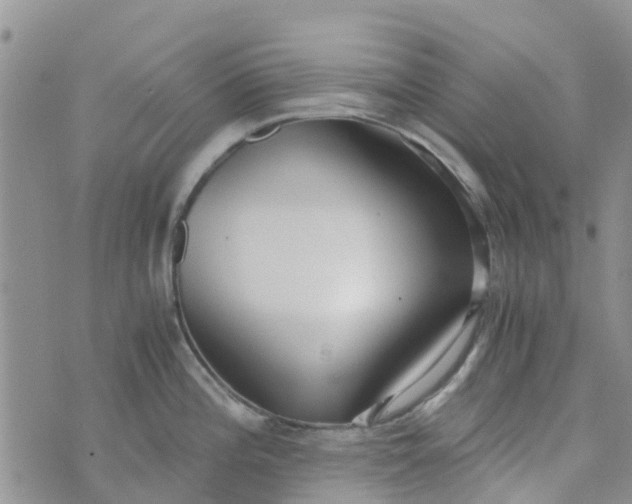 X0000073921196200609011801