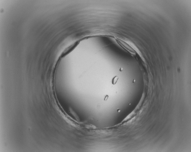 X0000073921197200609011801