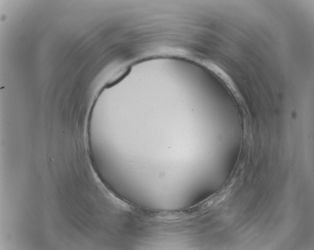 X0000073921199200609011801