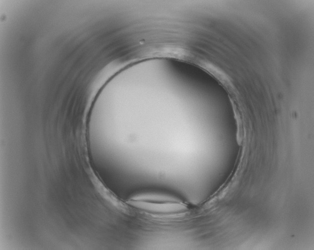 X0000073921200200609011801