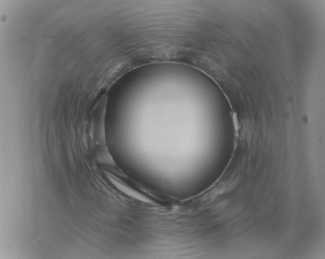 X0000073921202200609011800