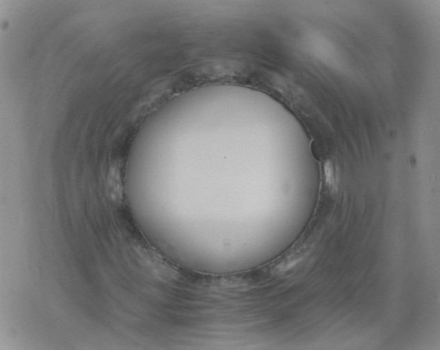 X0000073921203200609011800