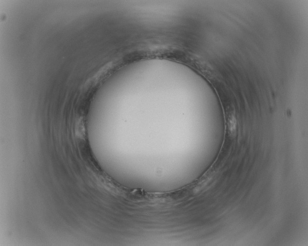 X0000073921204200609011800