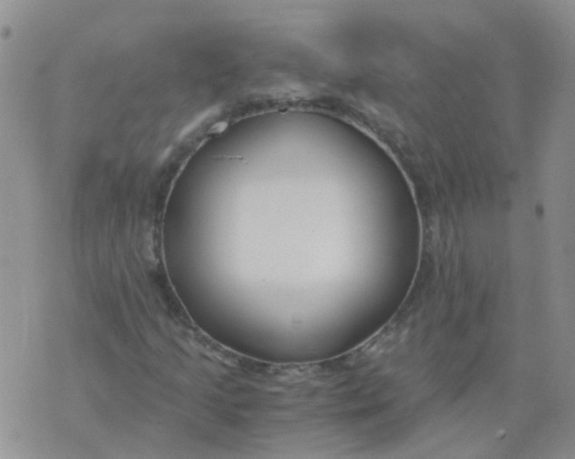 X0000073921205200609011800