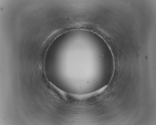 X0000073921206200609011800