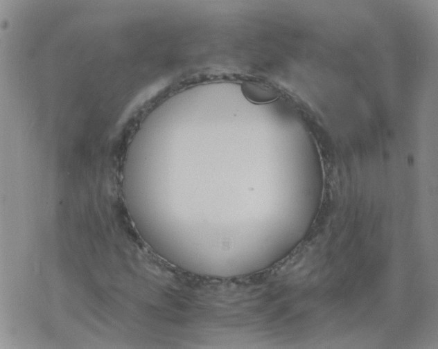 X0000073921207200609011800