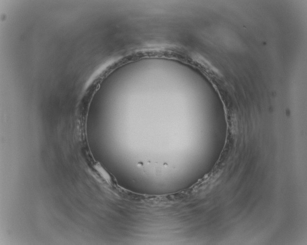 X0000073921208200609011800