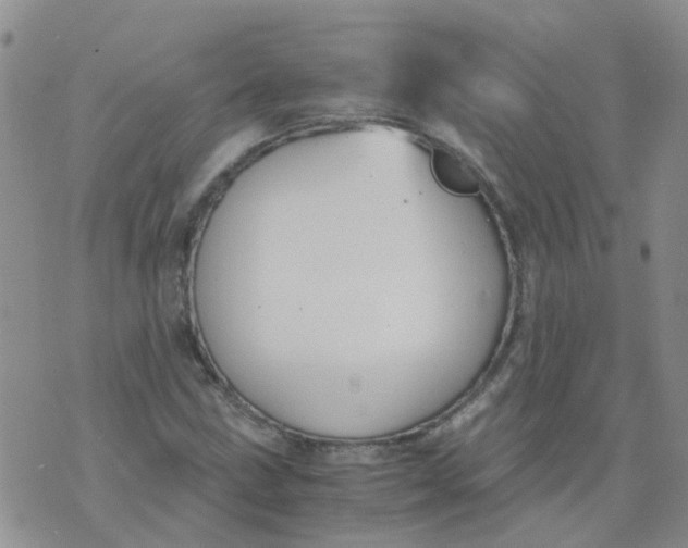 X0000073921211200609011800