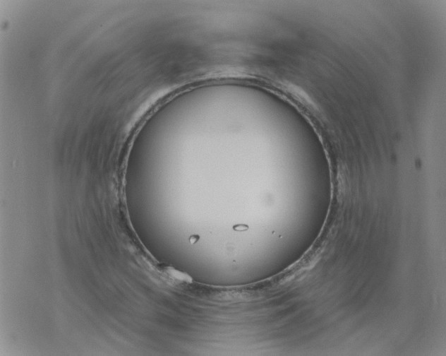 X0000073921212200609011800