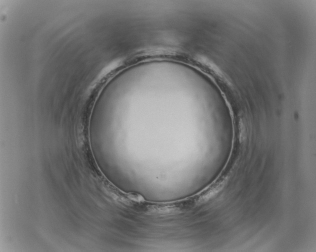 X0000073921213200609011800