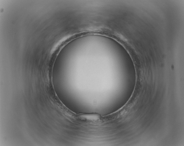 X0000073921214200609011801