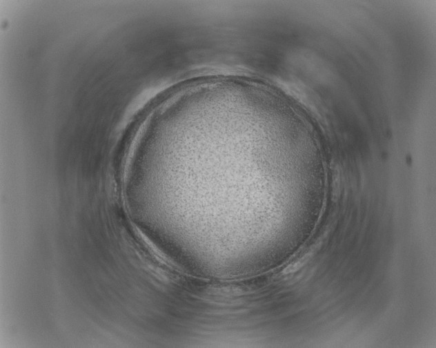 X0000073921215200609011801