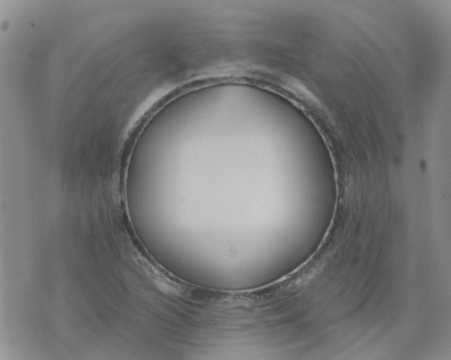 X0000073921216200609011801