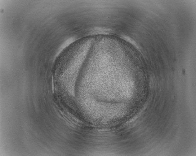 X0000073921219200609011801