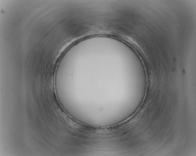 X0000073921220200609011801