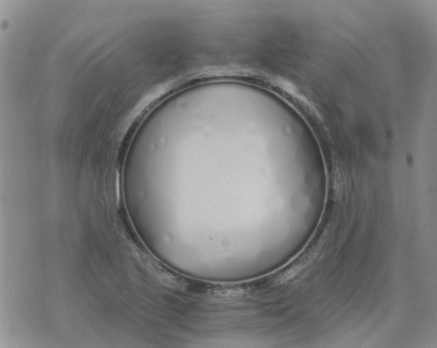 X0000073921221200609011801