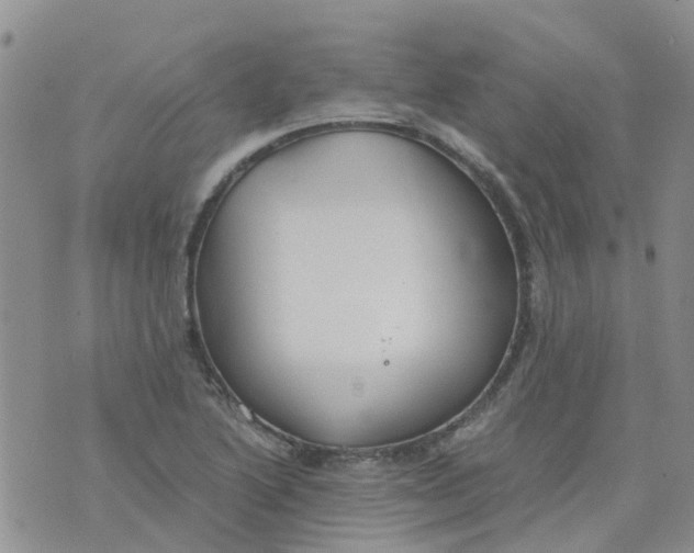 X0000073921222200609011801