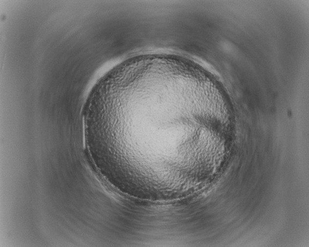 X0000073921223200609011801