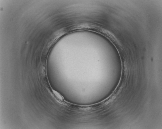 X0000073921225200609011801