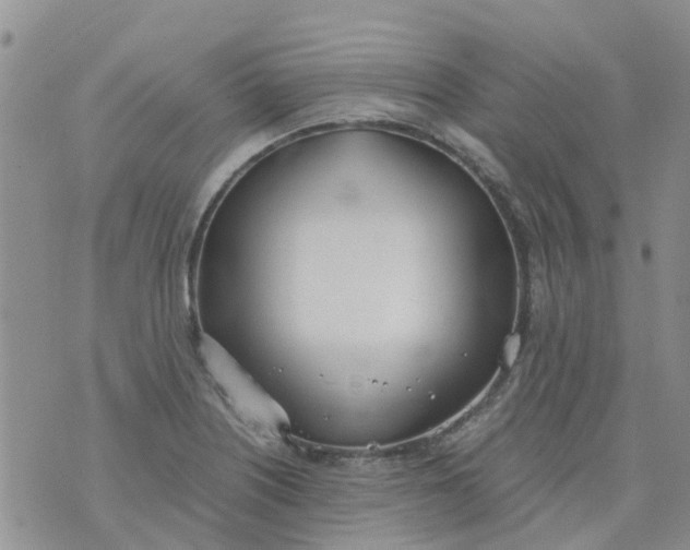 X0000073921226200609011801