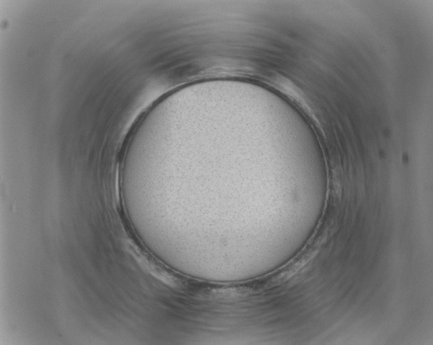 X0000073921227200609011801