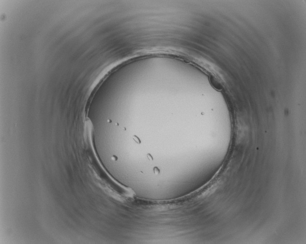 X0000073921228200609011801