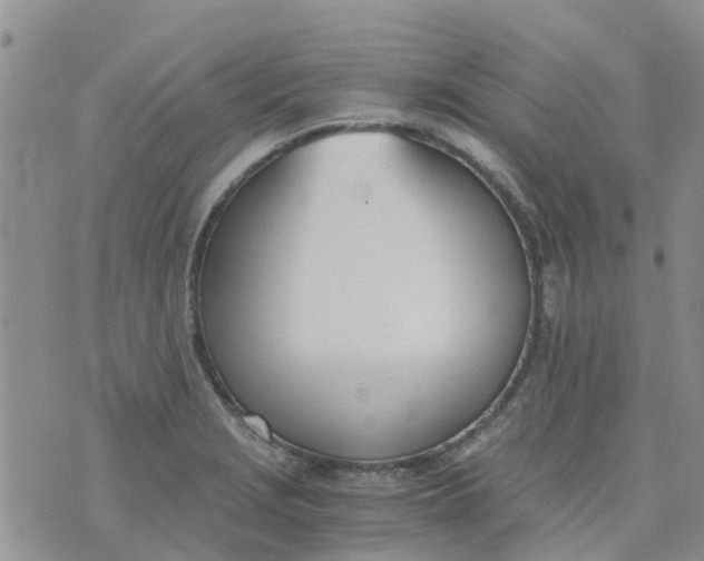 X0000073921229200609011801