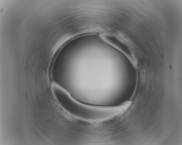 X0000073921230200609011801