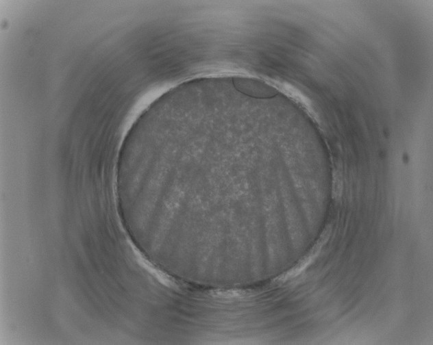 X0000073921231200609011801