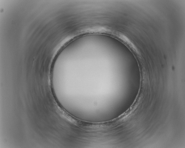 X0000073921232200609011801