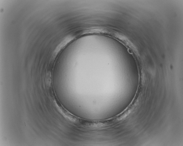 X0000073921233200609011801