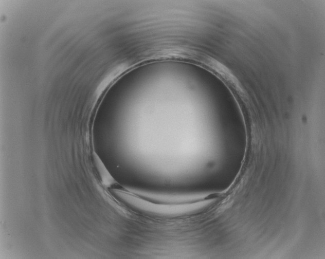 X0000073921234200609011801