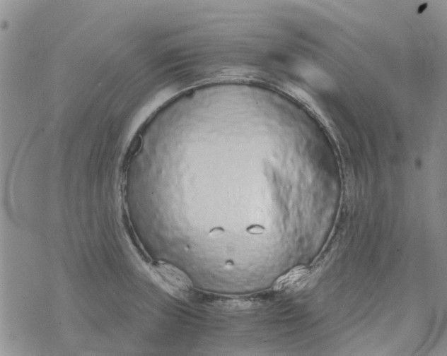 X0000073921235200609011801