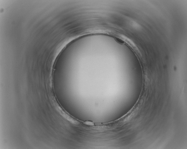 X0000073921236200609011801