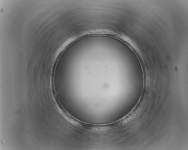 X0000073921237200609011801