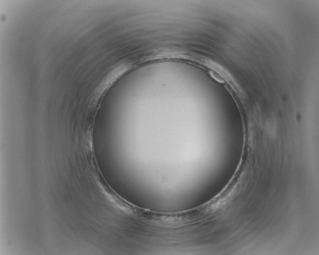 X0000073921241200609011801