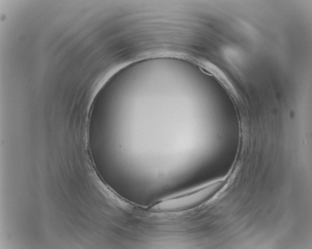 X0000073921244200609011801